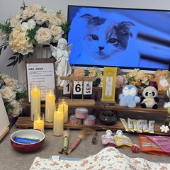 宠物家长客户见证