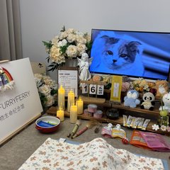 宠物家长客户见证