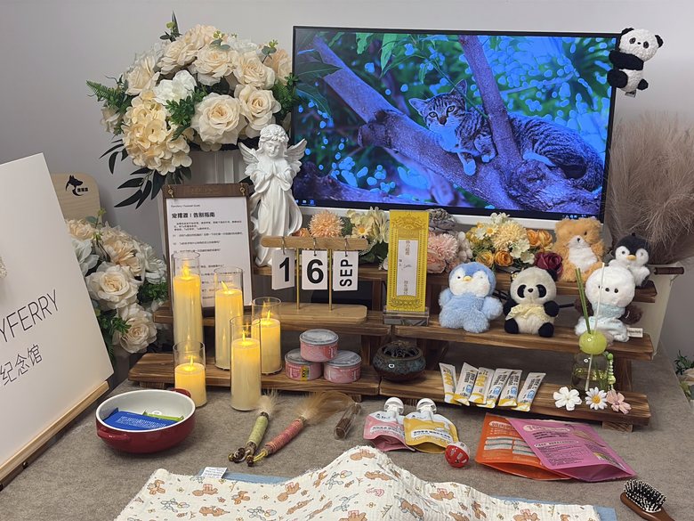 宠物骨灰罐与纪念品