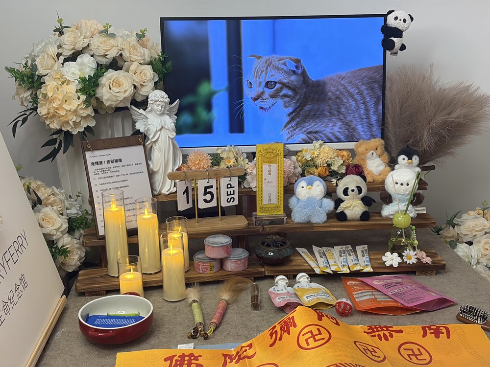 宠物告别仪式现场布置
